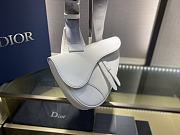 Kitlife Dior Men's White Cowhide Saddle Bag – 20x28.6x5 cm - 2