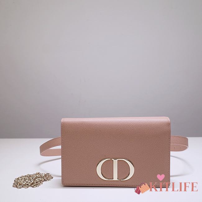Kitlife Dior Montaigne Waist Bag WOC 2-in-1 Rose Des Vents – 9909 - 19 x 12.5 x 4 cm - 1
