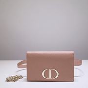 Kitlife Dior Montaigne Waist Bag WOC 2-in-1 Rose Des Vents – 9909 - 19 x 12.5 x 4 cm - 1