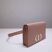 Kitlife Dior Montaigne Waist Bag WOC 2-in-1 Rose Des Vents – 9909 - 19 x 12.5 x 4 cm - 6