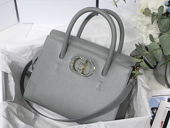 Kitlife Dior St Honore Handbag Gray/Enamel Button - M8012 - 25 cm x 19 cm x 12 cm