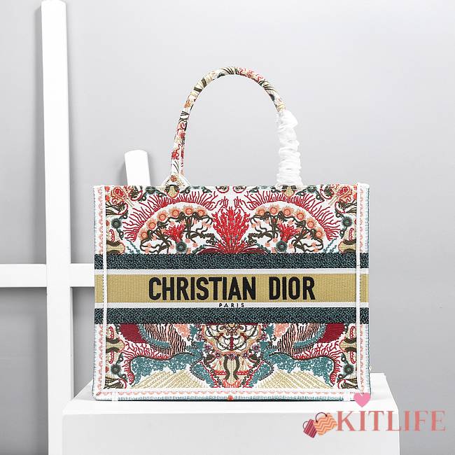 Kitlife Dior Book Tote Limited Edition – 36.5cm - 1