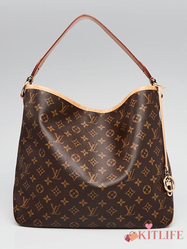 Louis Vuitton Monogram Canvas Delightful MM Pivoine - 42x33x15cm - 1
