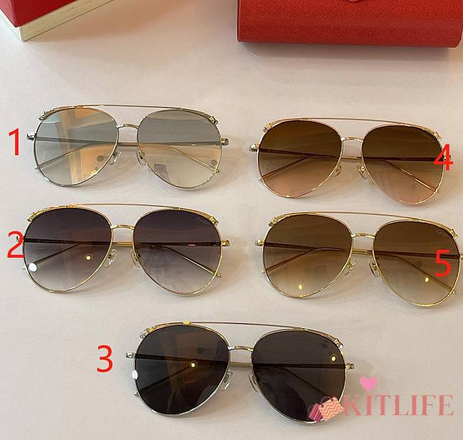 Kitlife Cartier Sunglasses – CA0816 – Size: 60-16-145 - 1