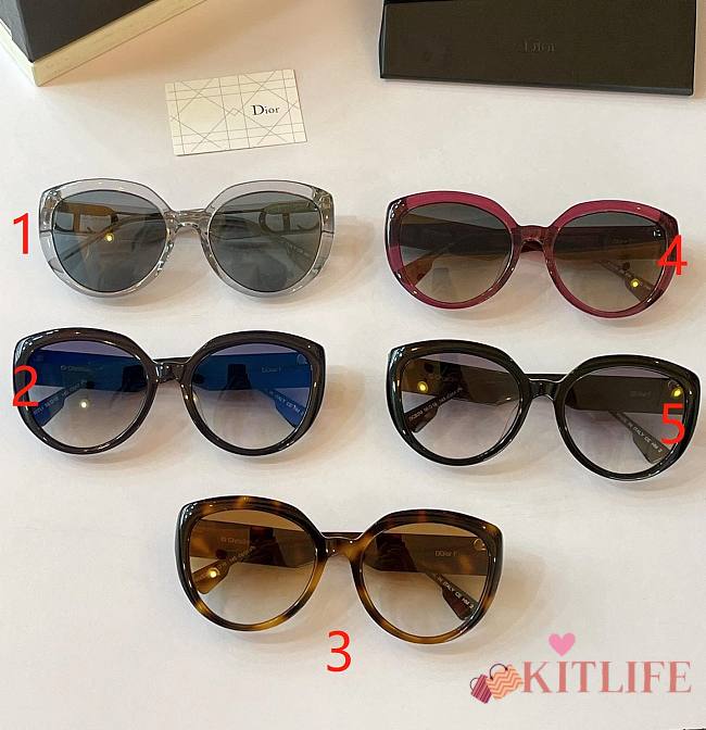 Kitlife Dior Sunglasses  - Size: 58-19-145 - 1