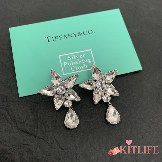 Kitlife Tiffany&Co Earrings - 1