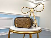 Kitlife Louis Vuitton Vanity PM Dark Brown Monogram Reverse - M45165 - 19x13x11cm - 2