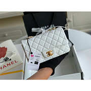 Kitlife Chanel Classic Flap Bag Caviar White In Silver/Gold Hardware - 20cm - 5