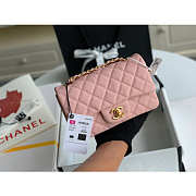Kitlife Chanel Classic Flap Bag Caviar Pink In Silver/Gold Hardware - 20cm - 3