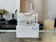 Kitlife Chanel Classic Flap Bag Lambskin White In Silver/Gold Hardware - 20cm - 5