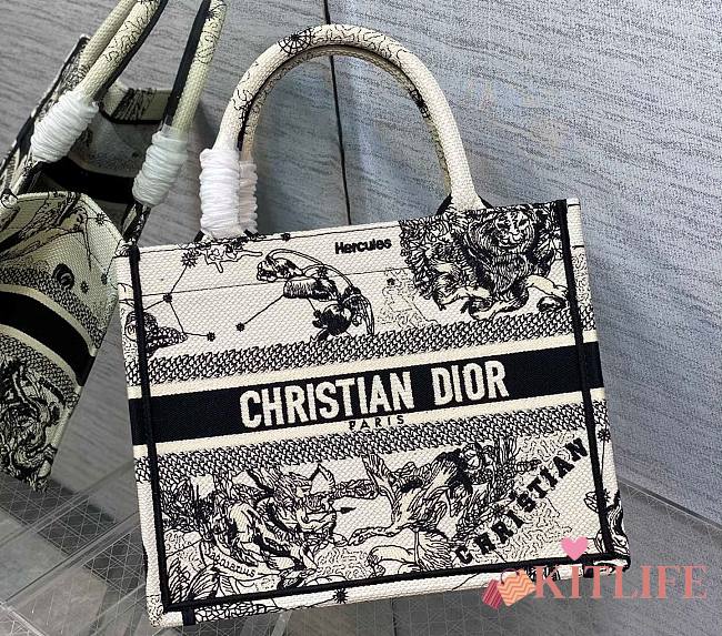 Kitlife Dior Small Book Tote Latte Toile de Jouy Zodiac Embroidery - 26x8x22cm - 1