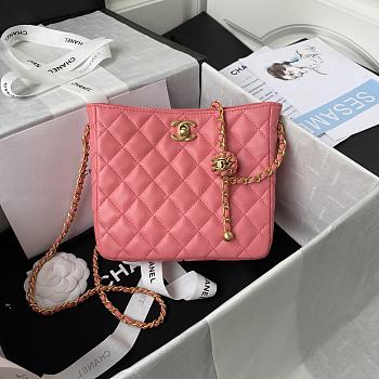 Kitlife Chanel 22s Hobo Pink Bag - AS3259 - 16×19.5×8.5cm