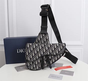 Kitlife Dior Saddle Bag Beige and Black Dior Oblique Jacquard - 20 x 28.6 x 5 cm