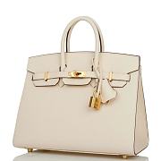 Kitlife Hermes Birkin Sellier 25 Nata Epsom Gold Hardware - 2