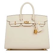 Kitlife Hermes Birkin Sellier 25 Nata Epsom Gold Hardware - 1