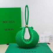 Kitlife Bottega Veneta Turn Parakeet - 40x24x1cm - 1