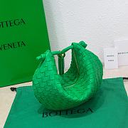 Kitlife Bottega Veneta Turn Parakeet - 40x24x1cm - 4