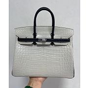 Kitlife Hermes Birkin 25 Exotic Matte Gray Leather - 25cm - 1