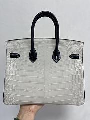 Kitlife Hermes Birkin 25 Exotic Matte Gray Leather - 25cm - 2