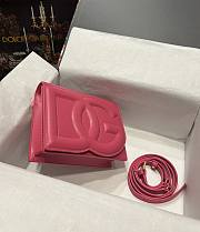 Kitlife DOLCE & GABBANA DG Logo bag with shoulder strap pink - 16x20x5.5cm - 2