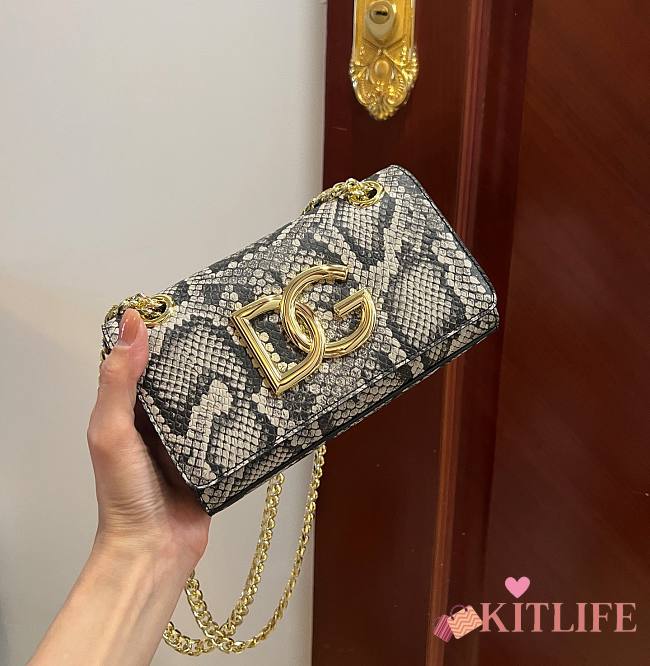 	 Kitlife Dolce & Gabbana Snake Leather DG Logo Chained Crossbody Bag - 21*13*3.5cm - 1