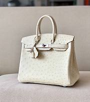 	 Kitlife Hermes Birkin Ostrich White Leather Silver Hardware - 25/30/35cm - 1