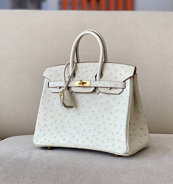 	 Kitlife Hermes Birkin Ostrich White Leather Gold Hardware - 25/30/35cm