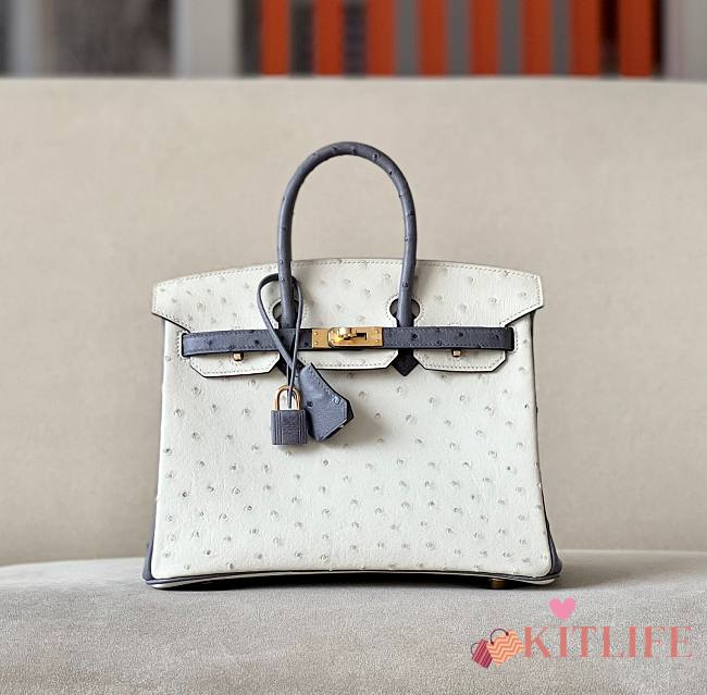 	 Kitlife Hermes Birkin Ostrich White and Grey Leather Gold Hardware - 25/30/35cm - 1