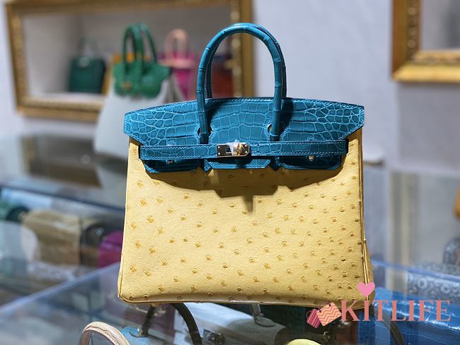 	 Kitlife Hermes Birkin Ostrich and Crocodile Yellow/Blue Leather - 25/30/35cm - 1