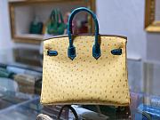 	 Kitlife Hermes Birkin Ostrich and Crocodile Yellow/Blue Leather - 25/30/35cm - 5