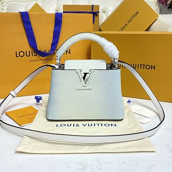 Kitlife Louis Vuitton Capucines Gradient Blue Snake Leather - 21 x 14 x 8 cm