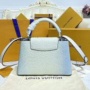 	 Kitlife Louis Vuitton Capucines BB Gradient Blue Snake Leather - 27×18 × 9 cm - 3