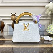 Kitlife Louis Vuitton Capucines Mini Ostrich Leather White - 21*14*8cm - 1