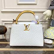 	 Kitlife Louis Vuitton Capucines Small Ostrich Leather White - 27*18*9cm - 1