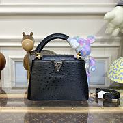 Kitlife Louis Vuitton Capucines Mini Ostrich Leather Black - 21*14*8cm - 1