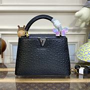 	 Kitlife Louis Vuitton Capucines Small Ostrich Leather Black - 27*18*9cm - 1