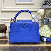 	 Kitlife Louis Vuitton Capucines Small Ostrich Leather Blue - 27*18*9cm - 1