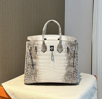 Hermes Birkin 25 Himalaya Blanc White Niloticus Mat Matte Palladium Hardware