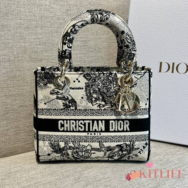 KITLIFE DIOR MINI LADY D-LITE BAG BLACK - 20 cm - 1