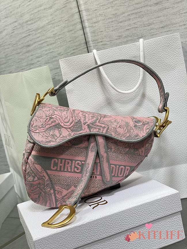 Kitlife Dior Saddle Bag Pink SS 2023 - 25 cm - 1