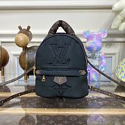 Kitlife louis Vuitton Pillow Palm Springs bag Black SS 2023 - 17 x 22 x 10 cm - 1