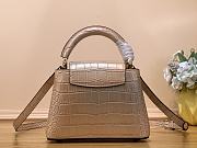 kiltife Louis Vuitton Capucines mini Monogram Flower bag N48866 - 21x14x8 cm - 6