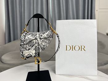 kitlife Dior Saddle Maria Grazia Chiuri 2023 bag - 21 x 18 x 5 cm