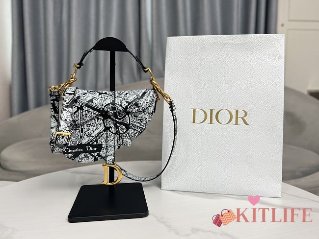 Kitlife Dior Saddle Maria Grazia Chiuri 2023 bag CD - 21 x 18 x 5 cm - 1