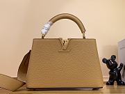 kitlife Louis Vuitton Taurillon Capucines mini brown bag - 27x18x9 cm - 1
