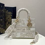 Kitlife Dior lady D-life Bag - 24x20x11cm - 1