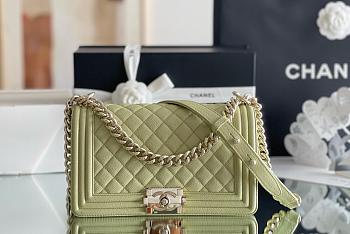 Kitlife Chanel leboy green bag - 25x15x9 cm