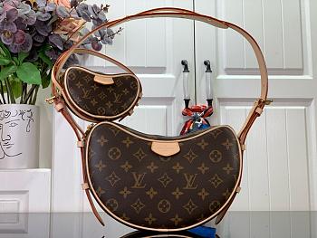 Kitlife Louis Vuitton Croissant MM bag - 21x7x13 cm