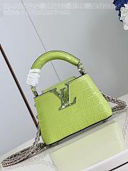 kitlife Louis Vuitton Capucines in precious crocodilian green bag - 16x11x6 cm - 1