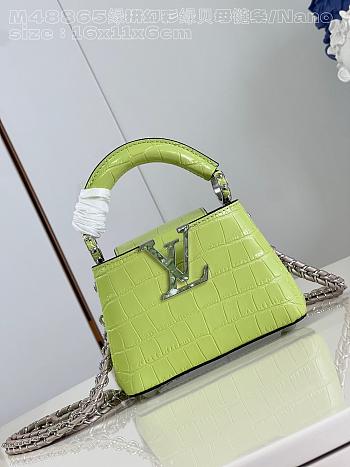 kitlife Louis Vuitton Capucines in precious crocodilian green bag - 16x11x6 cm